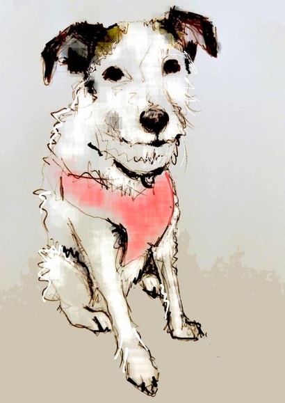 adult animal Birthday Card 19022 created by #drawingtokeepfromtheboring