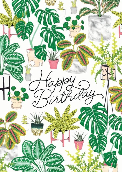 plants flower Birthday Card 43467 created by Jacqueline Colley