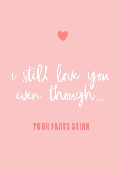 Funny Farts Anniversary Card / Valentines Day Card - I Still Love You Even Though Your Farts Stink created by Splodge Designs