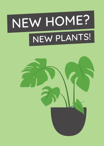 new home new house New Home Card 7666 created by Sunnyside Design