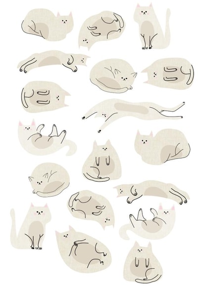 cats pet Birthday Card 17573 created by hnaillustration