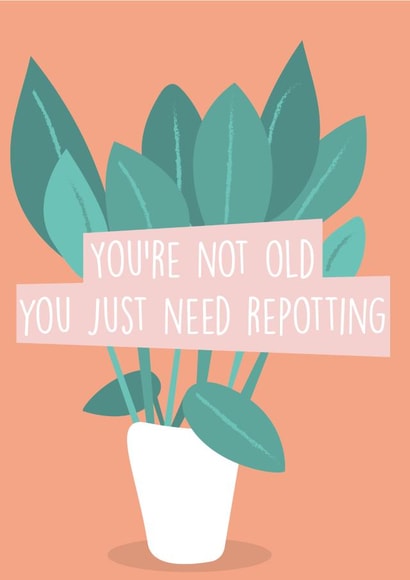 not old need Birthday Card 15500 created by Tee.Illustrations