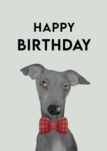 greyhound dog Birthday Card 18788 created by Treacle Bum