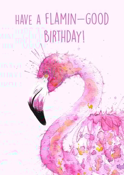 flamingo funny Birthday Card 13893 created by Splatterworks