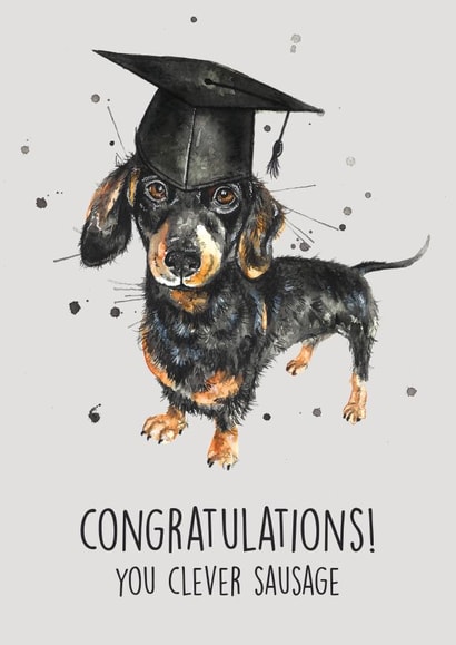 sausage dog watercolour Graduation Card 13895 created by Splatterworks