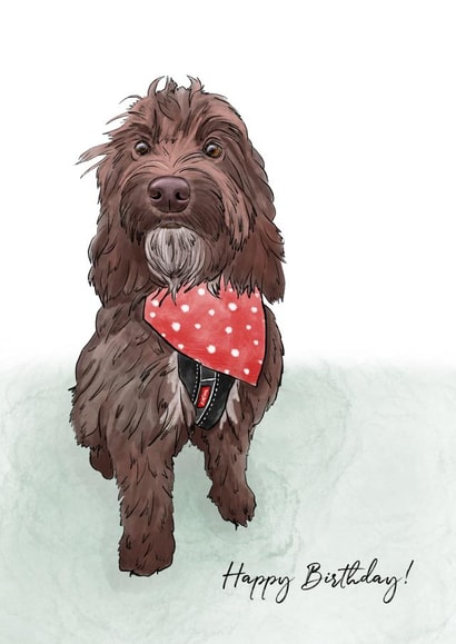 cockerpoo cocker Birthday Card 14642 created by Pork Chop Designs