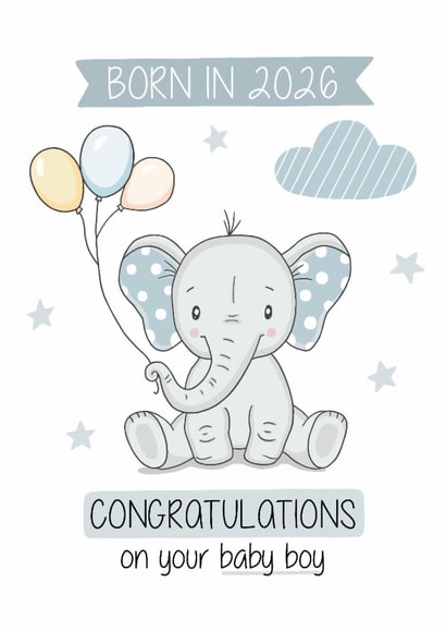 Born in 2026 Baby Boy created by Creaternet