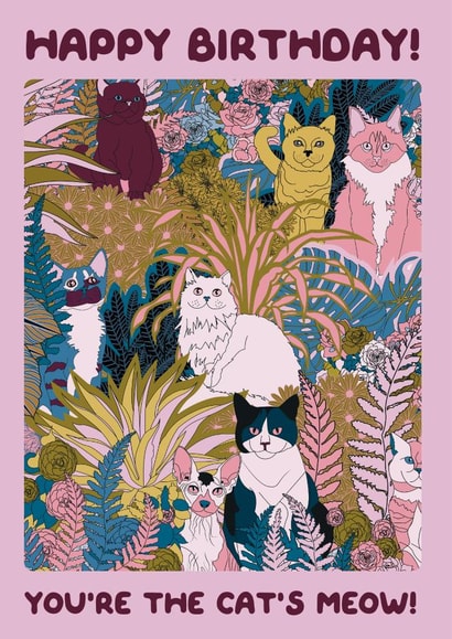 cat cat lover Birthday Card 20042 created by OMG Kitty