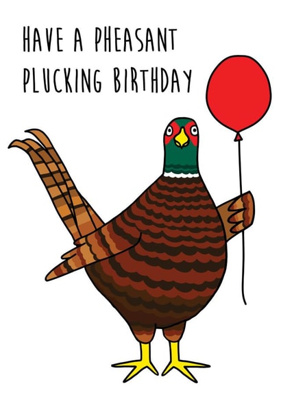 pheasant funny Birthday Card 18797 created by Holly Collective