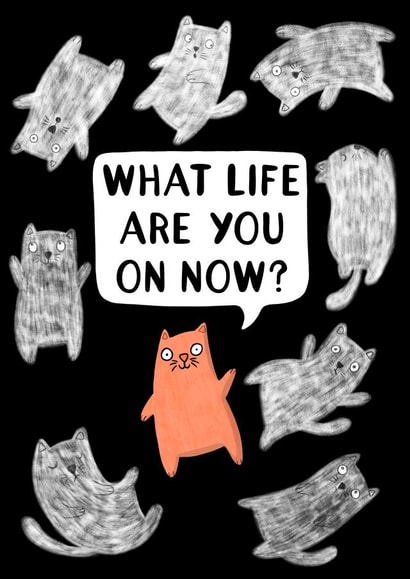 What Life are You on Now? created by Drawn to Cats