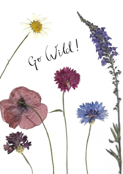 Classic Birthday Card - Flowers - Go Wild created by Nelly Heather