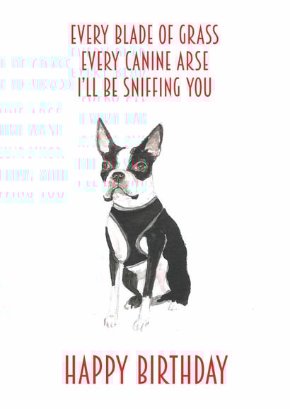 boston terrier dog Birthday Card 14216 created by Sarah Maddox