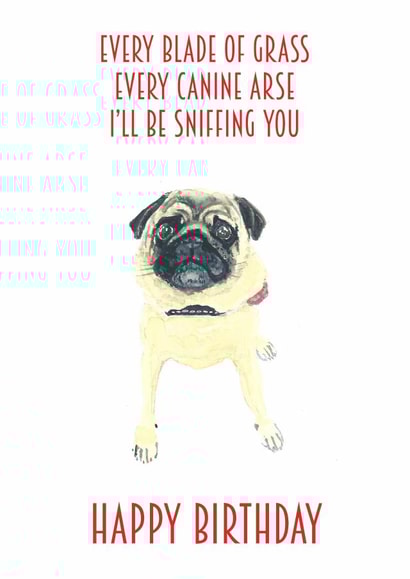 pug dog Birthday Card 14217 created by Sarah Maddox