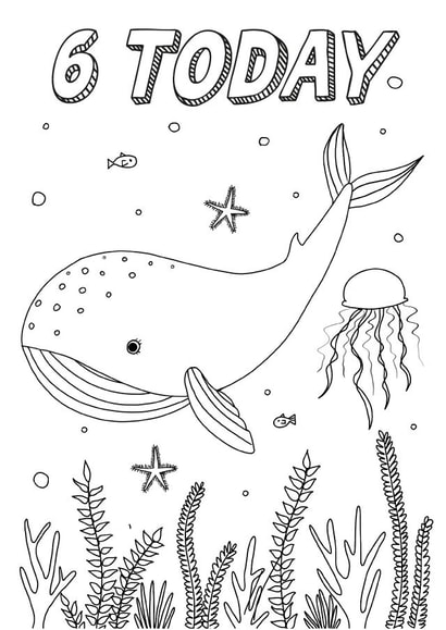 6 Today Whale Colouring Card created by Zoe-Claire