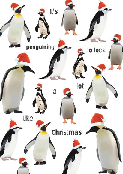 Cute - Funny - Penguin - Pun - Its Beginning To Look A Lot Like Christmas - Santa Hats - Festive Penguins - Christmas Card created by Blooming Typical Designs
