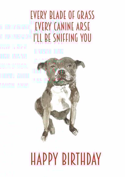 canine Pets Birthday Card 14220 created by Sarah Maddox