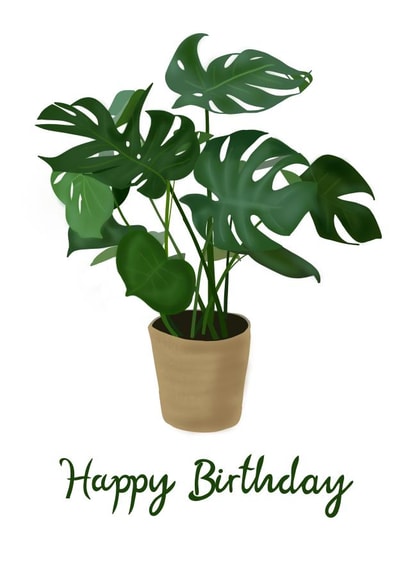 Plant House plant Card 45265 created by Williams Print Store