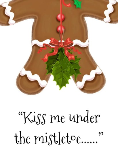 Funny - Cheeky - Rude - Kiss Me Under The Mistletoe - Gingerbread - Mistletoe - Partner created by LJ Tries
