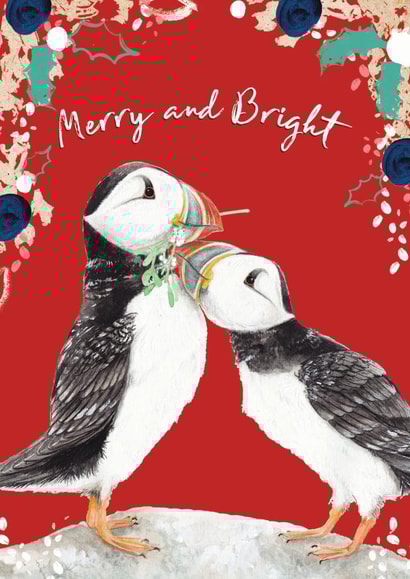 Beautiful Merry Christmas Puffins - Cute Wildlife watercolour and pattern created by Miss Meaney's