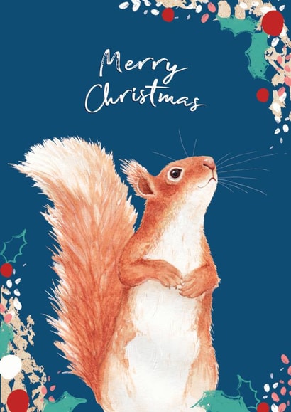 Beautiful Merry Christmas Red Squirrel - Cute Wildlife watercolour and pattern created by Miss Meaney's