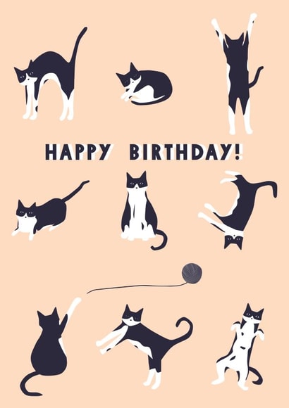 cat cute Birthday Card 19277 created by Eleanor Beetle