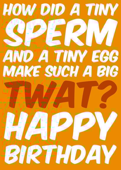 Twat Rude Birthday Card 7653 created by Sean David Cards