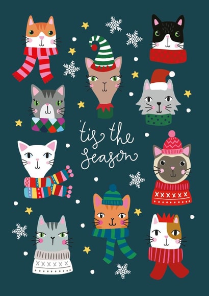 Tis The Season - Christmas Cats - Cats - Festive Felines - Cat Lover - Cute - Modern - Christmas Card created by Mifkins