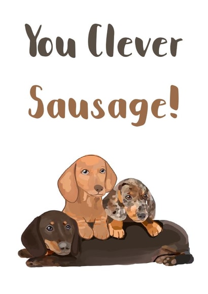 Clever sausage Sausage dog Graduation Card 18095 created by Sarah Stephenson