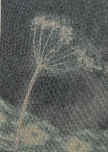 Card 45814 created by Hannah Morris