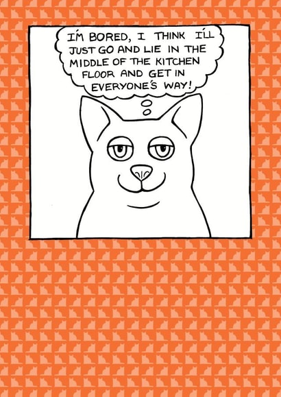 cat lady cats Just because Card 1828 created by On The Prowl Cat Cartoons