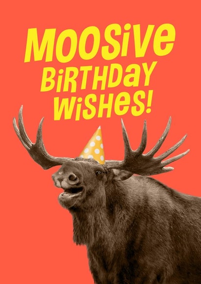 moosive birthday wishes created by Pink wink