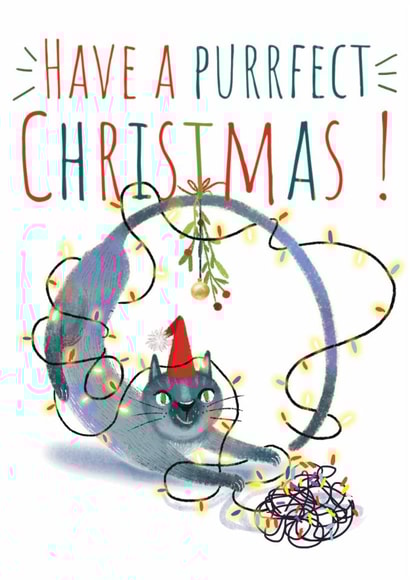 Cat Christmas card created by @Alisha Vas