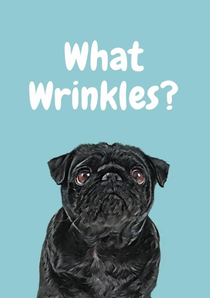 Cute Birthday Card - Dog - What Wrinkles? created by Studio Woof