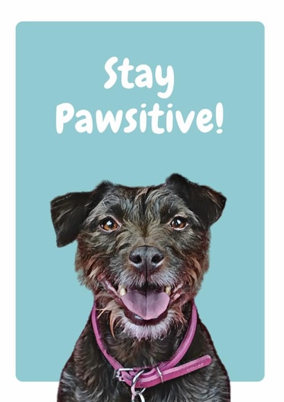 stay positive Just because Card 20647 created by Studio Woof