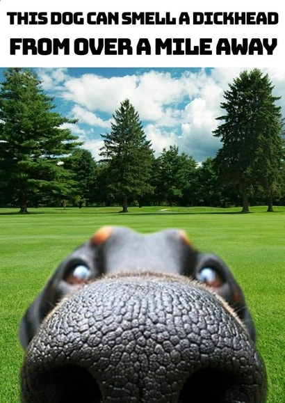 Card 40497 created by Cairn Newton