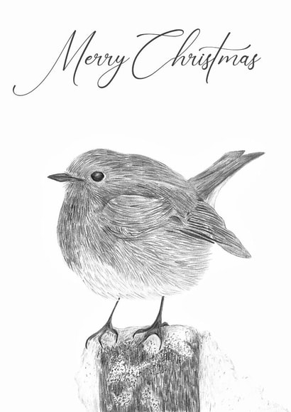 Hand Drawn Robin in a Winter Scene - Perfect for a Merry Christmas created by Artisan Animal Prints