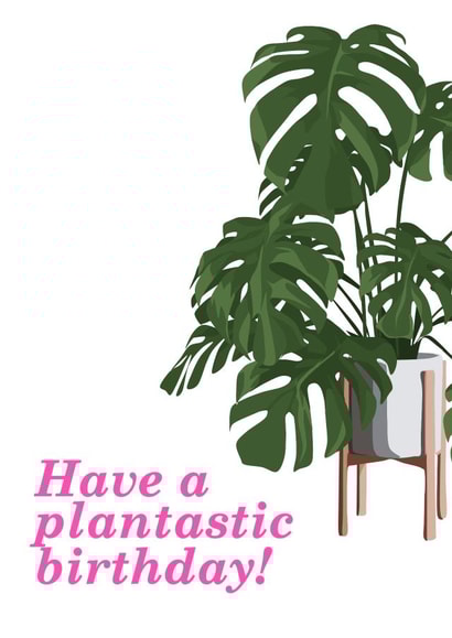 birthday card cheese plant Card 39875 created by MerryNotesDesigns