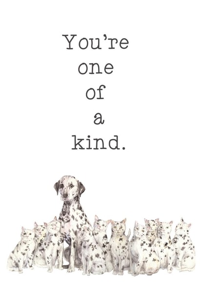 You're One of a Kind Unique Dog and Cat Dalmatian Friendship Card created by Wandering Laur