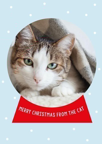 Classic Christmas Card - From The Cat - Snow Globe created by Megan Claire