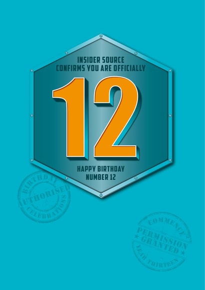 Military themed Official 12th Birthday card created by Pendrea Noye