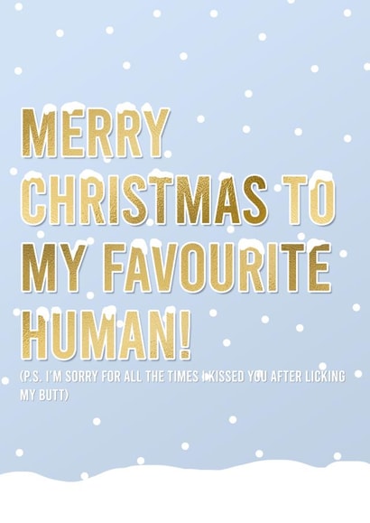 dog funny Christmas Card 14521 created by designsbyphia