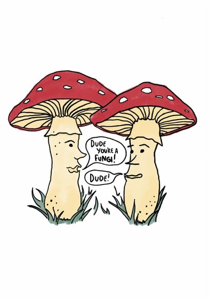 Funny Mushroom Pun Card – “Dude You’re a Fungi” Birthday & Friendship Card created by Sarahwillco