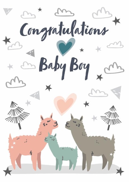 Congratulations Baby Boy - Llama / Alpaca created by JMK Illustration