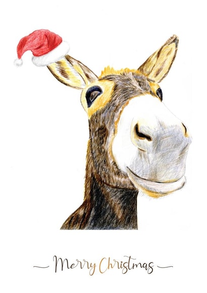 donkey santa hat Christmas Card 46357 created by Owl Cards