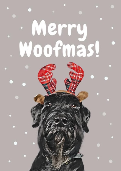 Dog from the dog Christmas Card 20650 created by Studio Woof