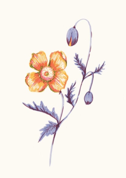 flower floral Thinking of you Card 24326 created by Amanda Schrembeck