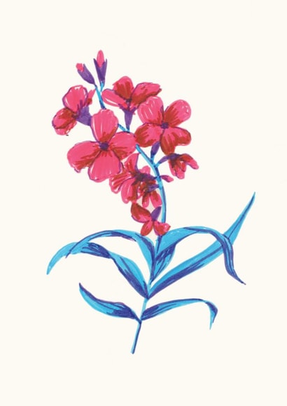 flower flowers Card 24328 created by Amanda Schrembeck