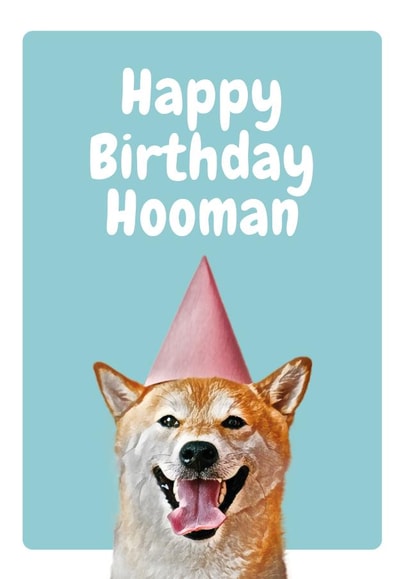 from the dog dog Birthday Card 20657 created by Studio Woof