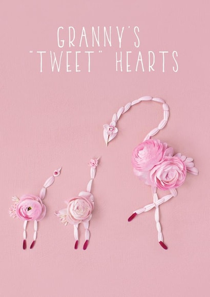 granny tweet Birthday Card 8387 created by Love Lila Photography