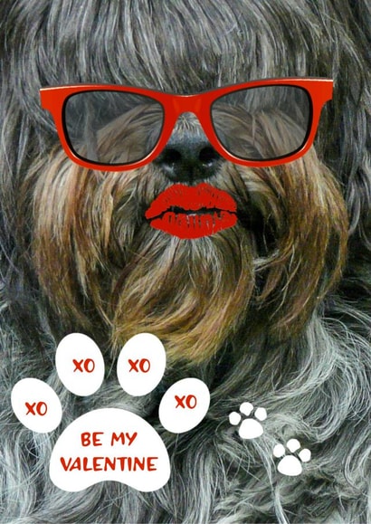 Valentine, shaggy dog, hot lips, pucker up, red sun-glasses, love, hugs and kisses Card 46856 created by Audrey Drake